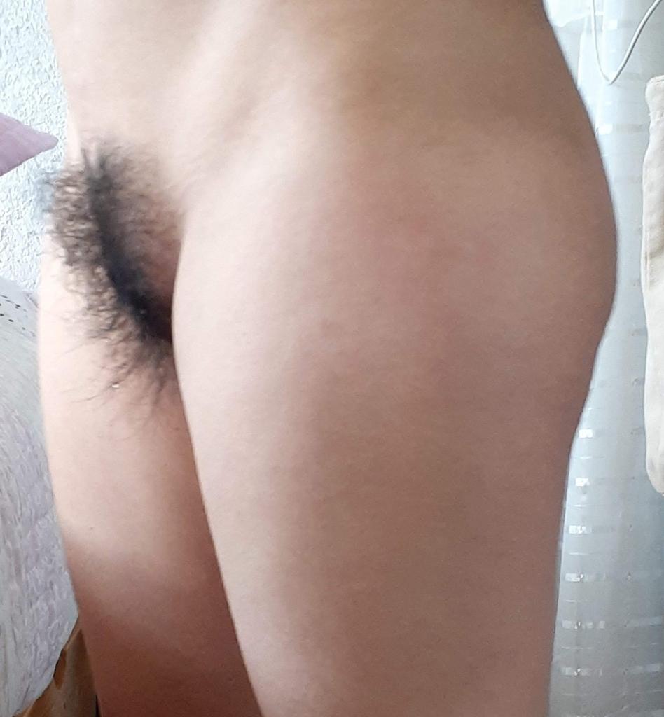 Peluche 2